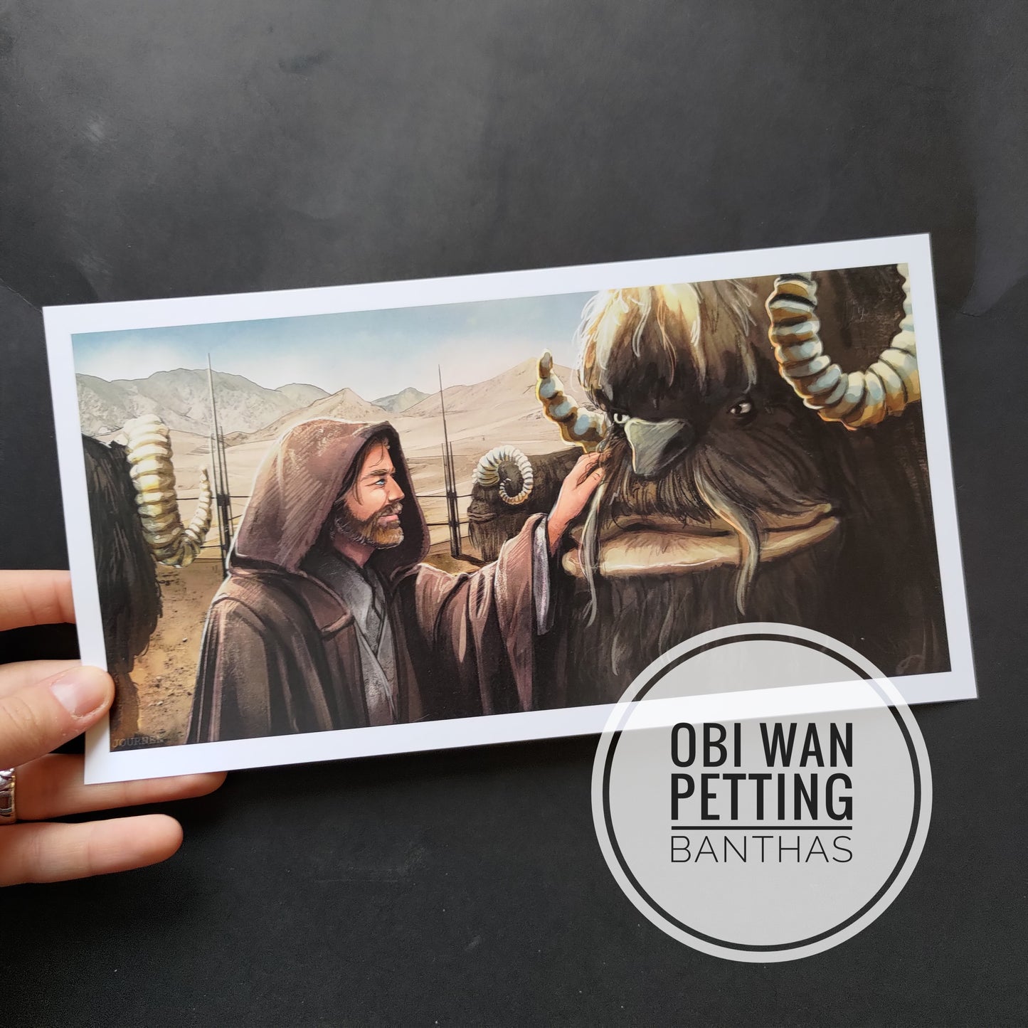 OLD OVERSTOCK/B GRADE STAR WARS PRINTS